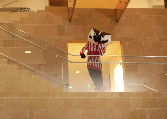 Bucky Badger on the staircase at the Chazen building
